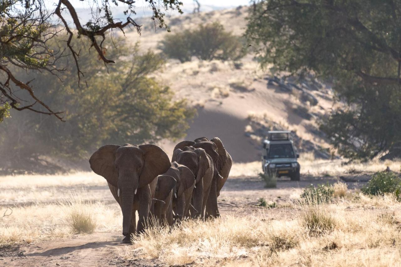 فيلا Twyfelfonteinفي Wilderness Safaris Damaraland Camp المظهر الخارجي الصورة